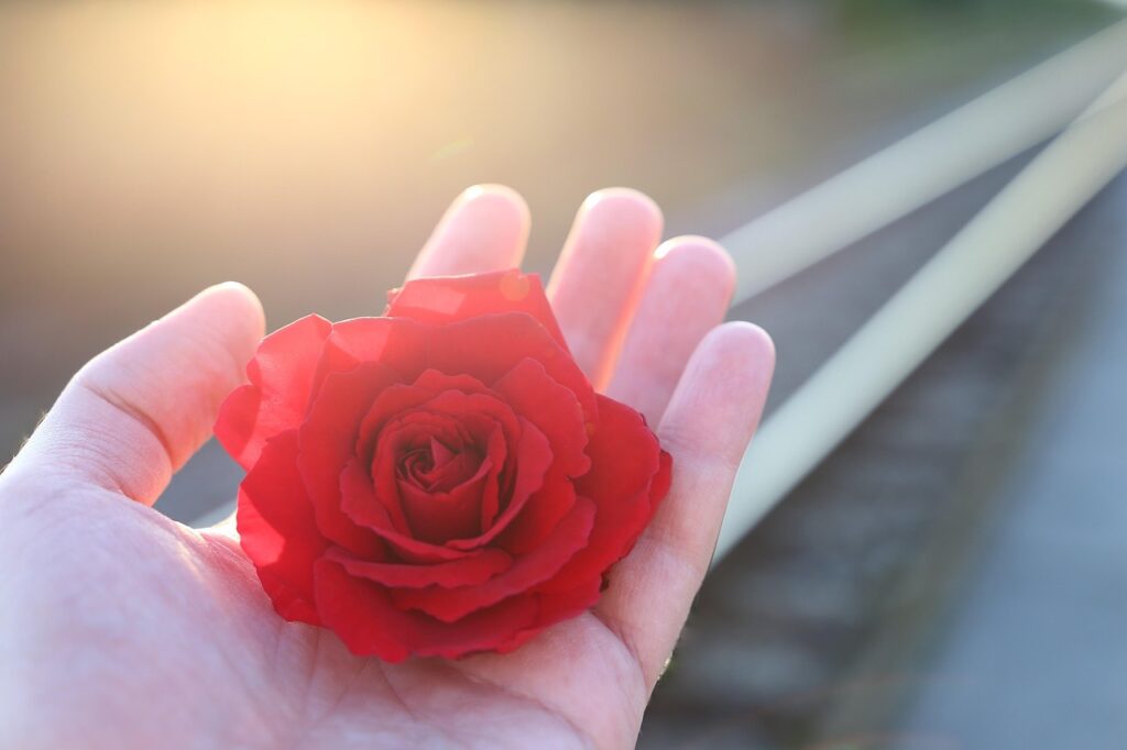 婚活辞めた後に出会いを見つける方法は？